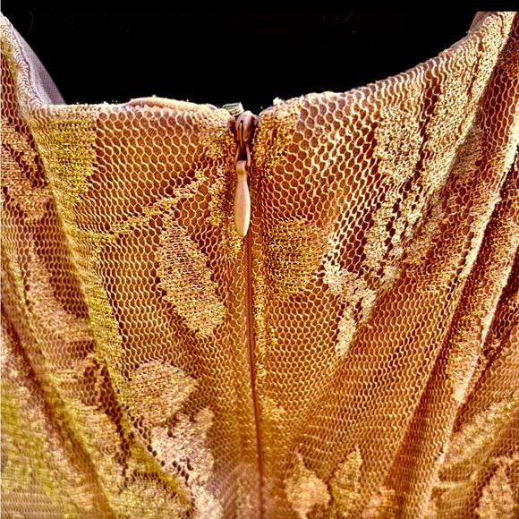 Patra Mauve Lace and Chiffon Wedding Dress - Size 20W - Picture 3 of 6